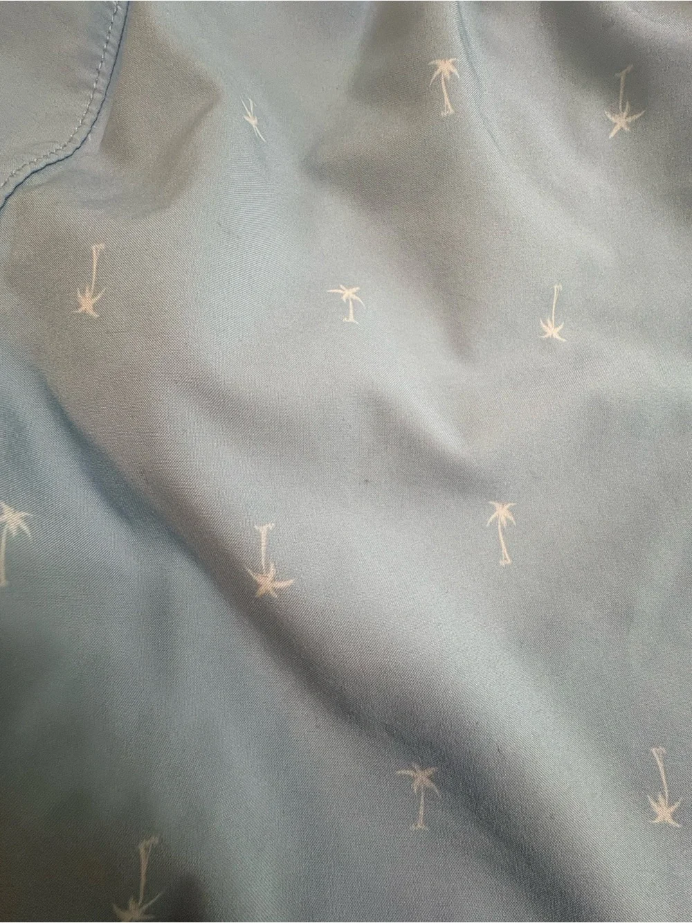 Hollister light blue